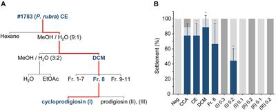 Photosensitivity of the Bacterial Pigment Cycloprodigiosin Enables Settlement in Coral Larvae—Light as an Understudied Environmental Factor